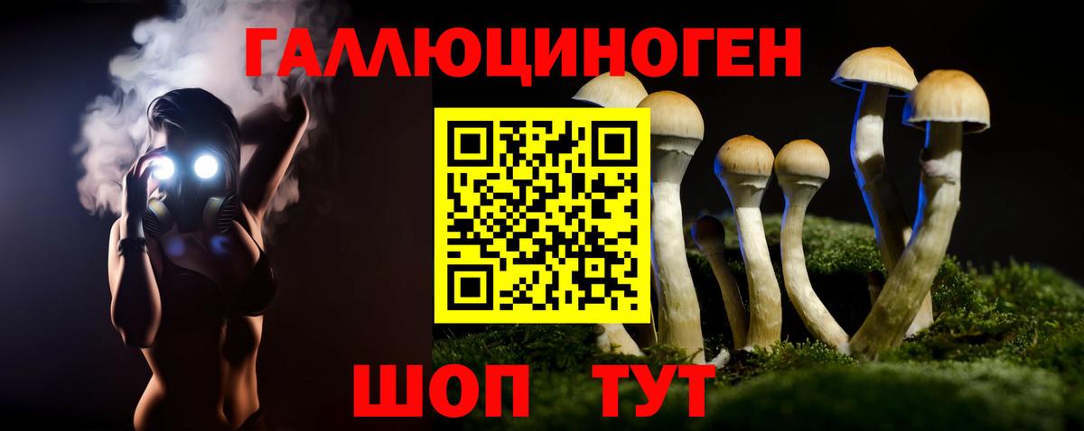 Дивногорск  Псилоцибиновые грибы прущие грибы  Вход с VPN 